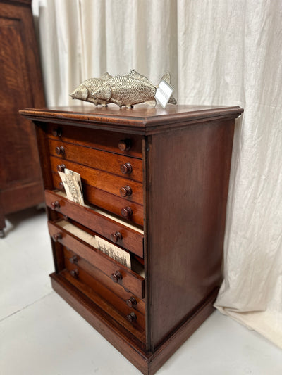 Antique English Specimen Drawers