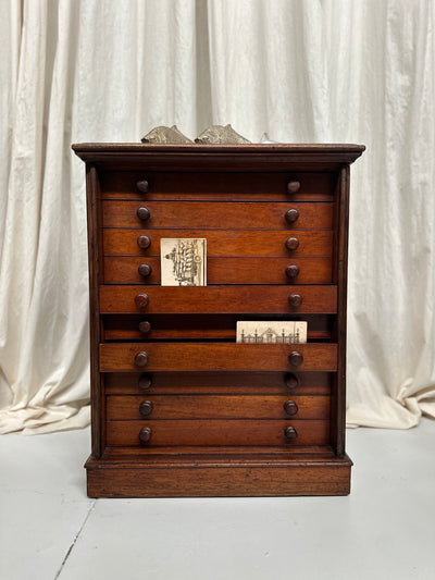 Antique English Specimen Drawers
