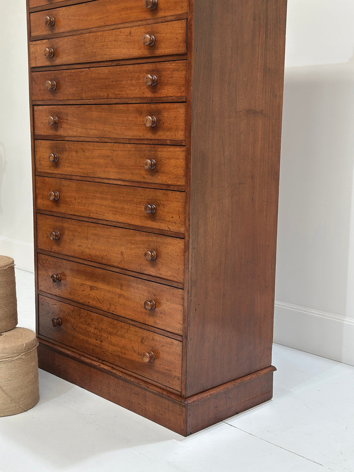Collectors/Specimen Drawers