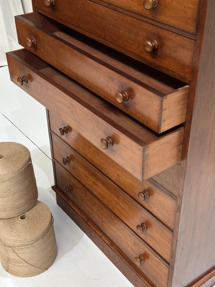 Collectors/Specimen Drawers