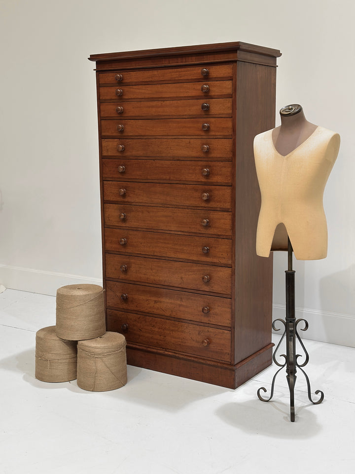 Collectors/Specimen Drawers