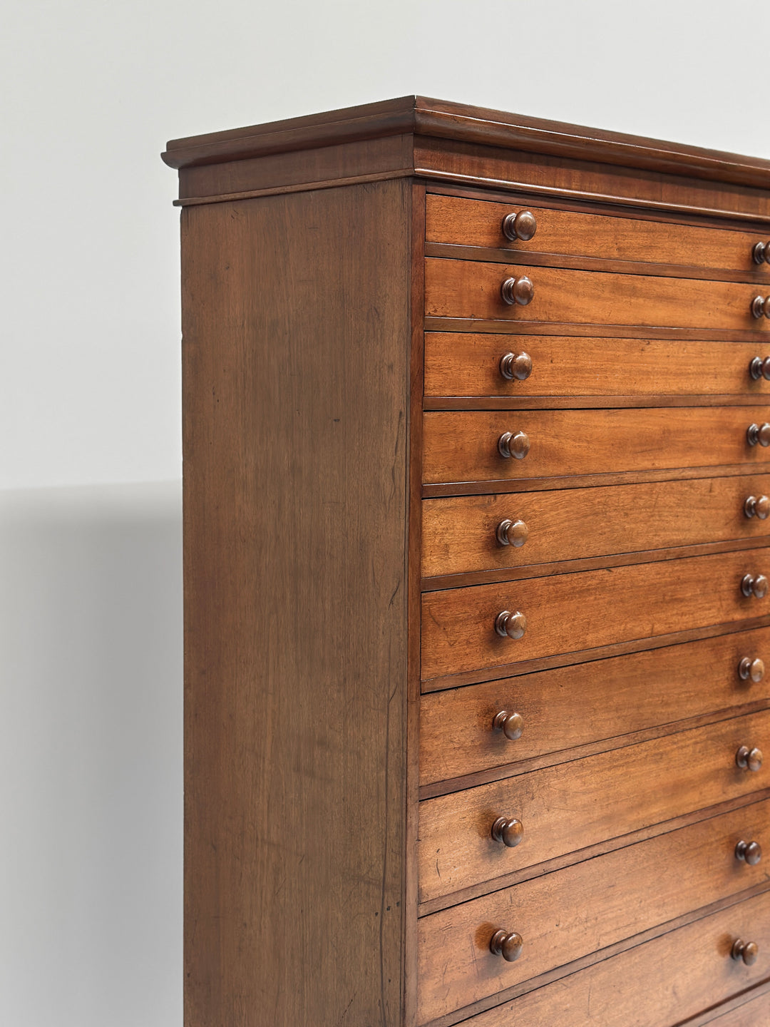 Collectors/Specimen Drawers