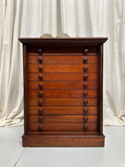 Antique English Specimen Drawers