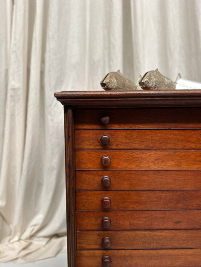 Antique English Specimen Drawers
