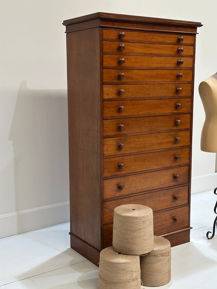 Collectors/Specimen Drawers