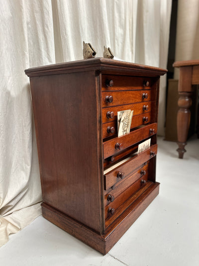 Antique English Specimen Drawers