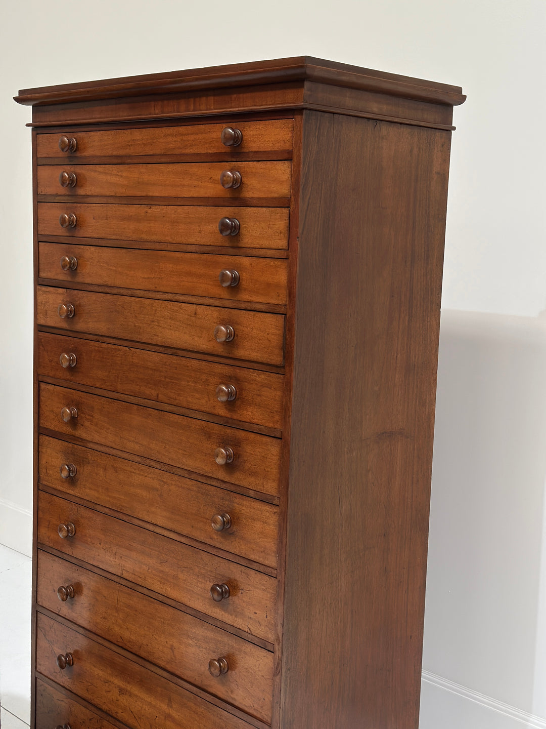 Collectors/Specimen Drawers