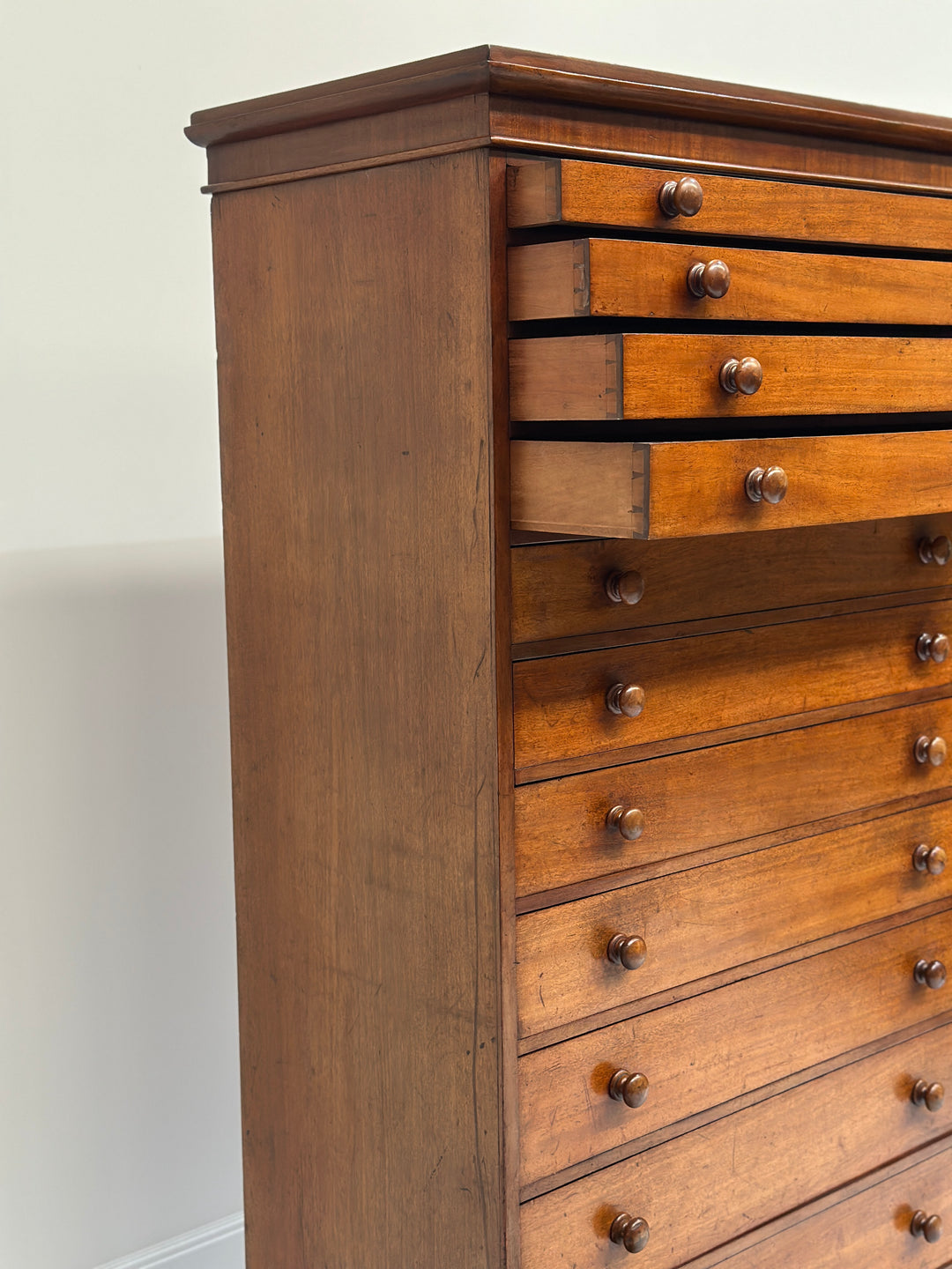 Collectors/Specimen Drawers