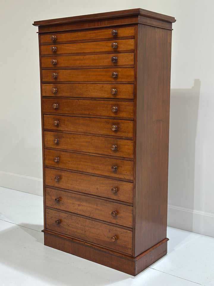 Collectors/Specimen Drawers