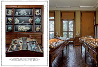 Extraordinary Collections Book