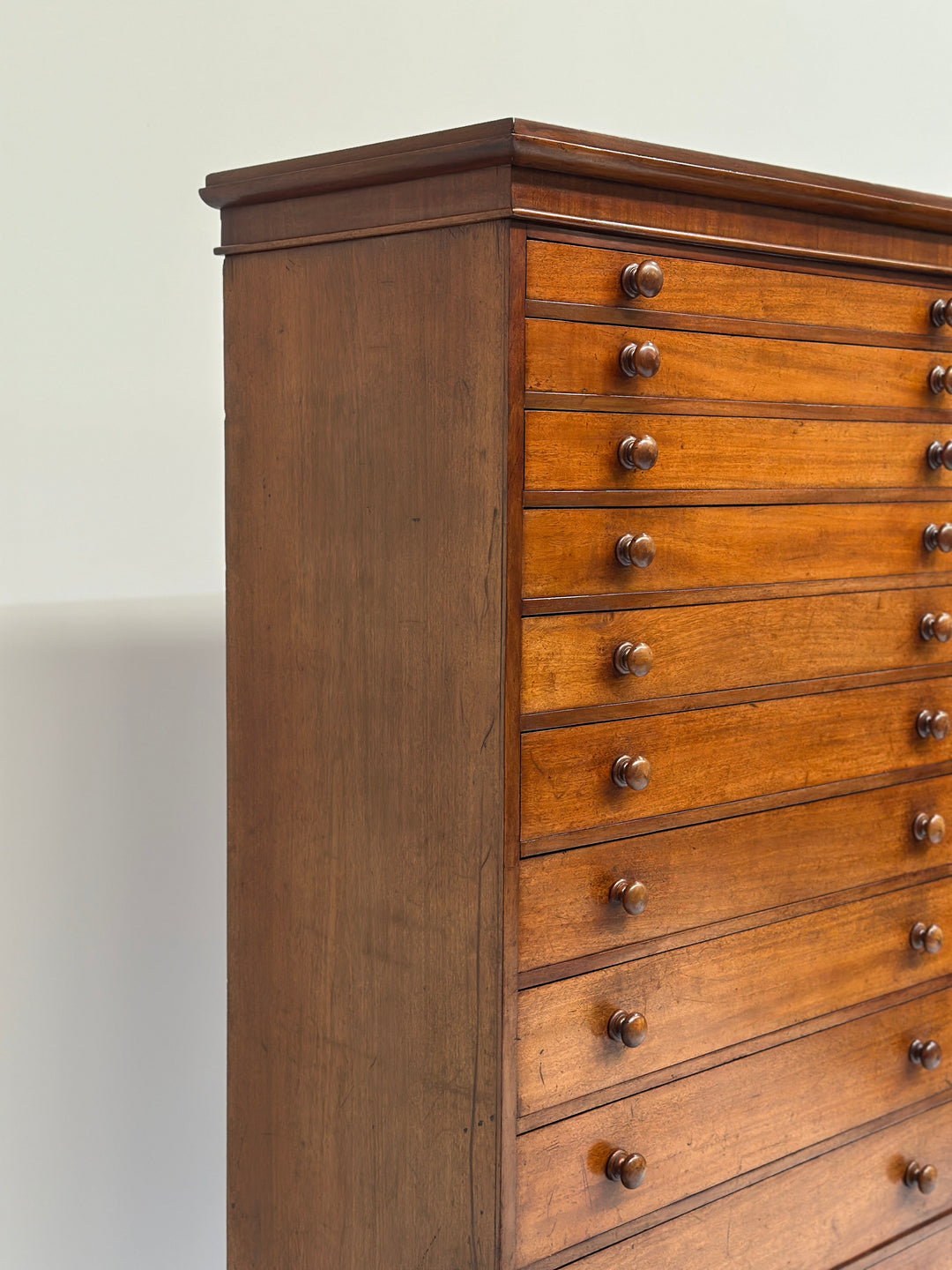 Collectors/Specimen Drawers