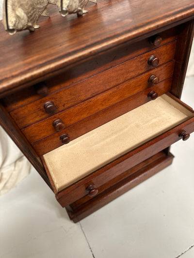 Antique English Specimen Drawers