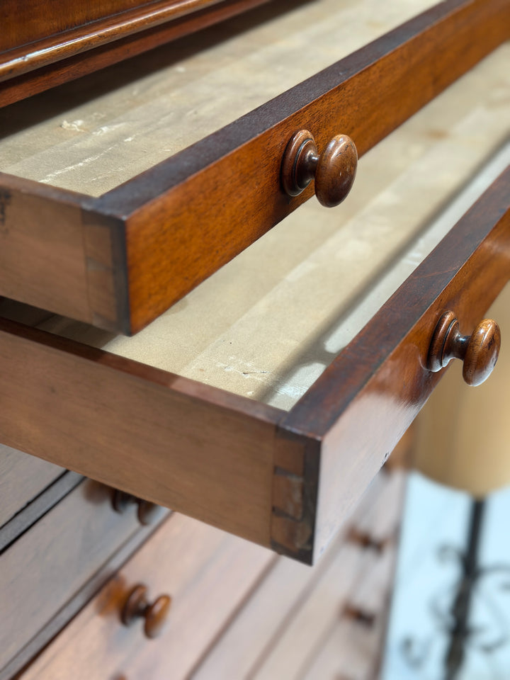 Collectors/Specimen Drawers