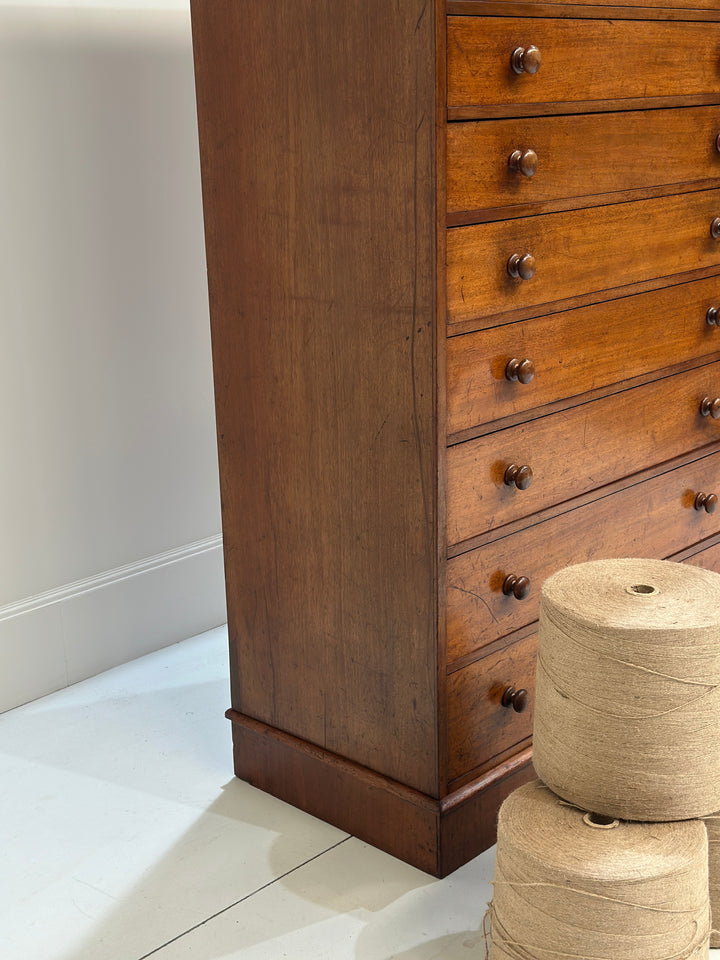 Collectors/Specimen Drawers
