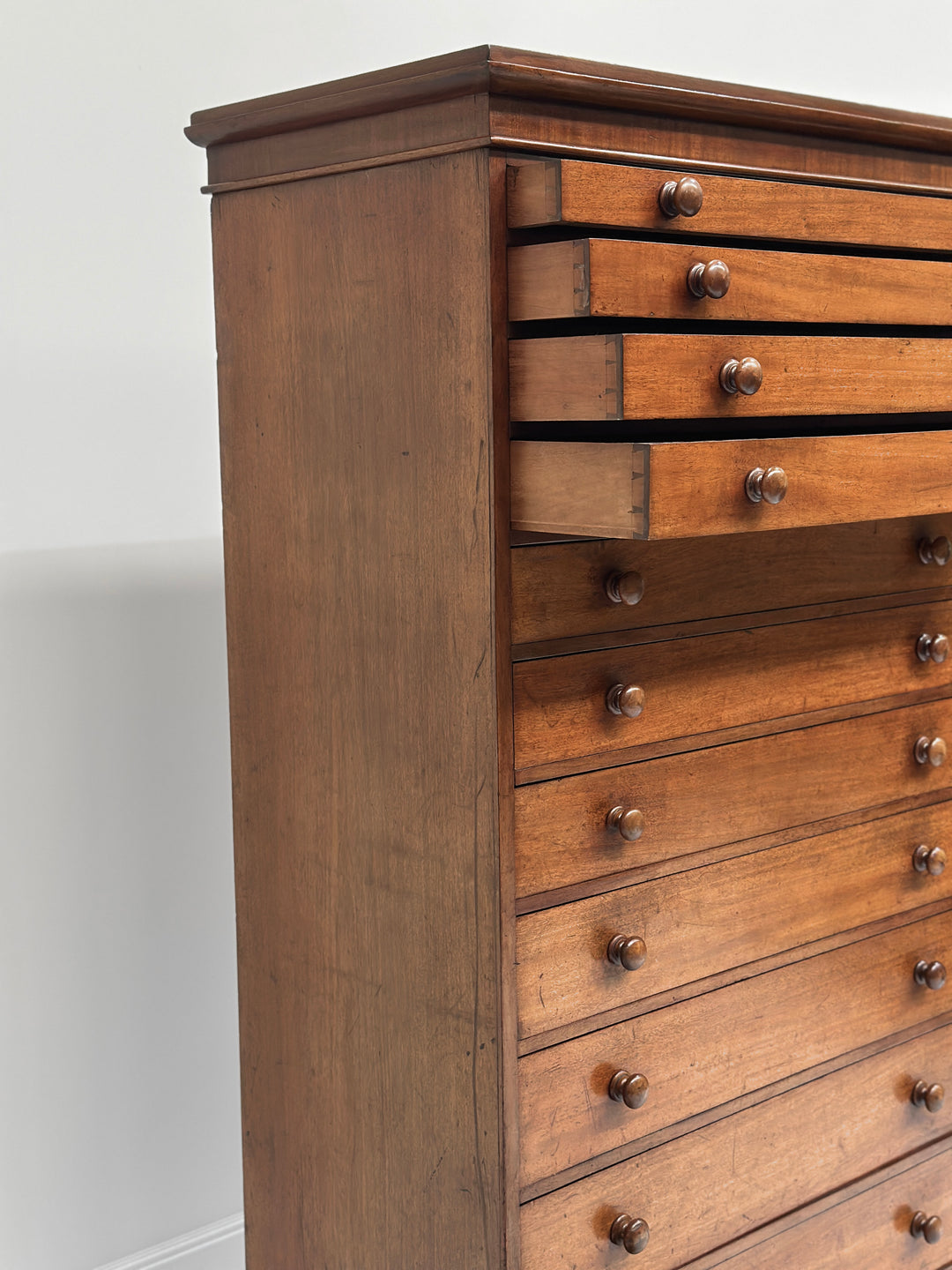 Collectors/Specimen Drawers