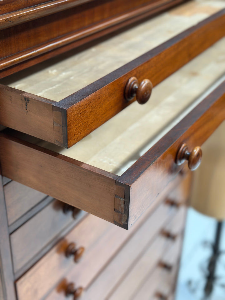 Collectors/Specimen Drawers
